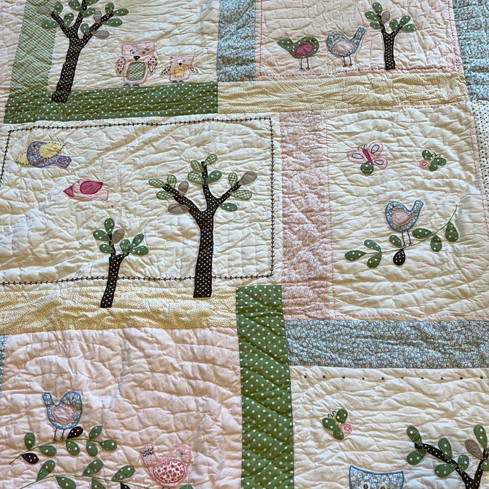 Pottery Barn Kids Full/Queen comforter, 2 Euro Shams and 2 regular shams